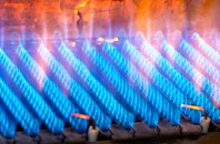 Carlenrig gas fired boilers